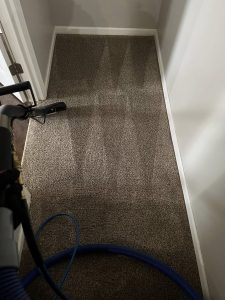 Carpeting in Kansas City, MO