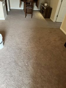 Carpeting in Kansas City, MO
