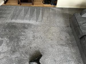 Carpeting in Kansas City, MO
