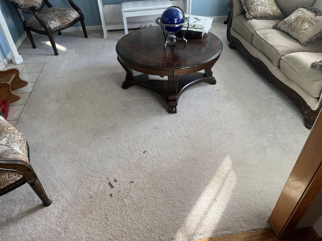 Carpeting in Kansas City, MO