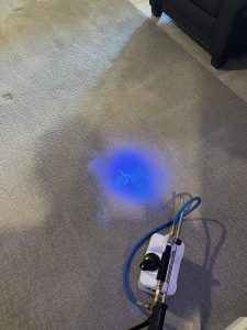 Carpeting in Kansas City, MO