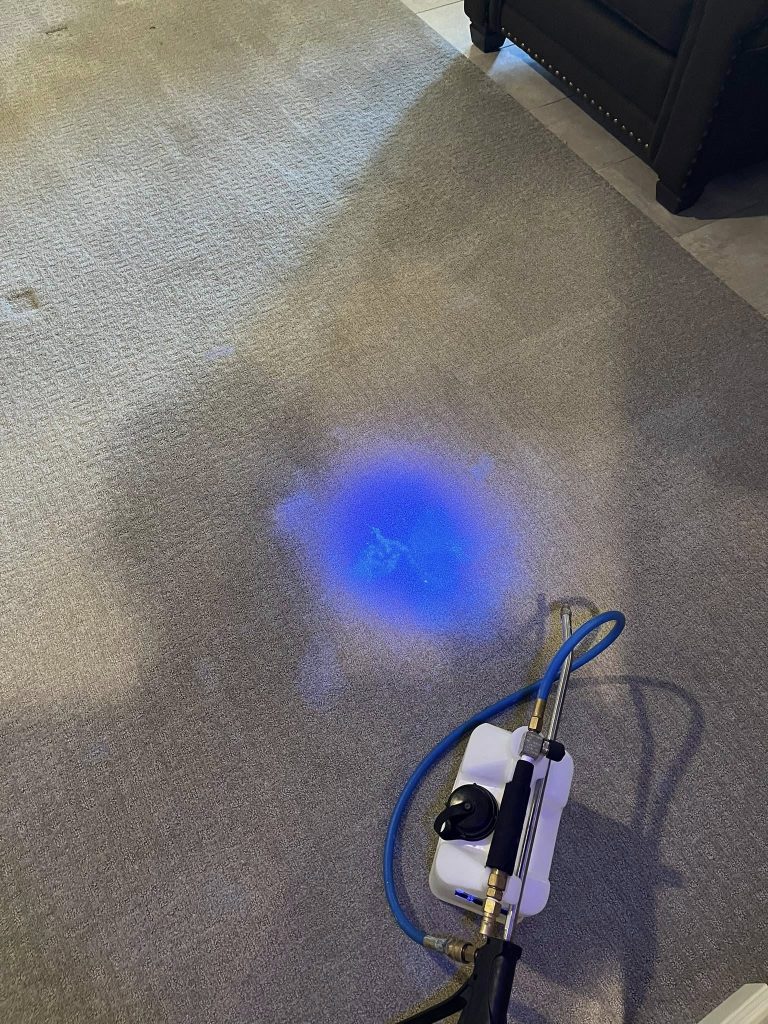 Carpeting in Kansas City, MO Carpeting in Kansas City, MO