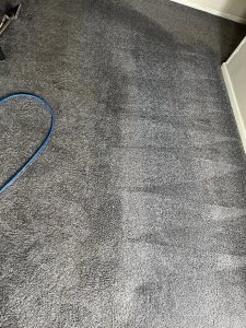 Carpeting in Kansas City, MO