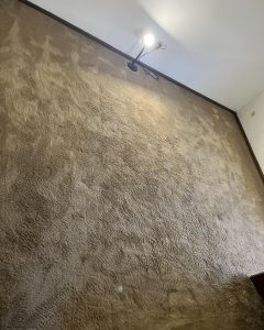 Carpeting in Kansas City, MO