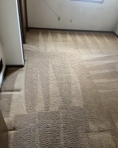 Carpeting in Kansas City, MO
