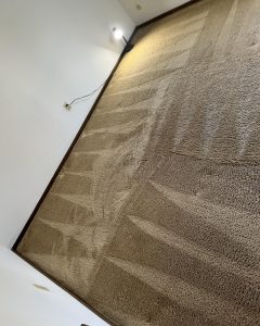 Carpeting in Kansas City, MO