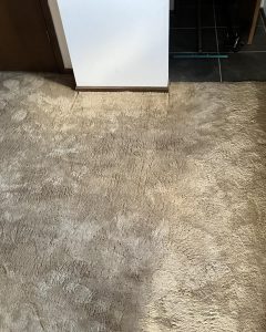 Carpeting in Kansas City, MO
