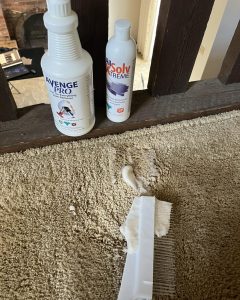 Carpeting in Kansas City, MO