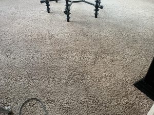 Carpeting in Kansas City, MO